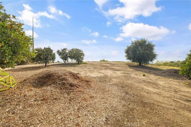 2264 Papaya, La Habra Heights, CA 90631