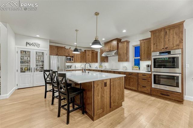 18762 Cherry Springs Ranch Drive, Monument, CO 80132