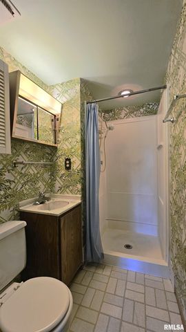 806 W BROADWAY Boulevard, Johnston City, IL 62951