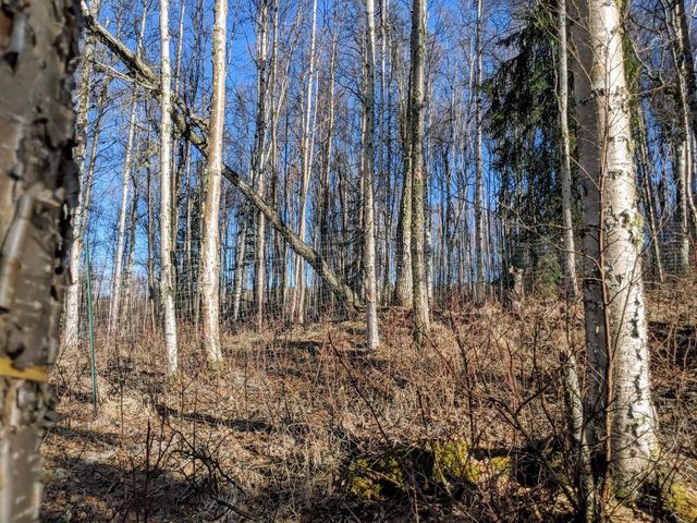 999 CHAD STREET, Fairbanks, AK 99712