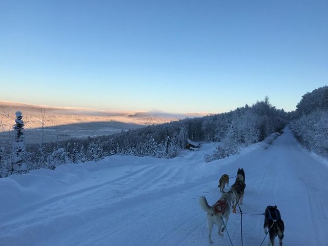 999 CHAD STREET, Fairbanks, AK 99712