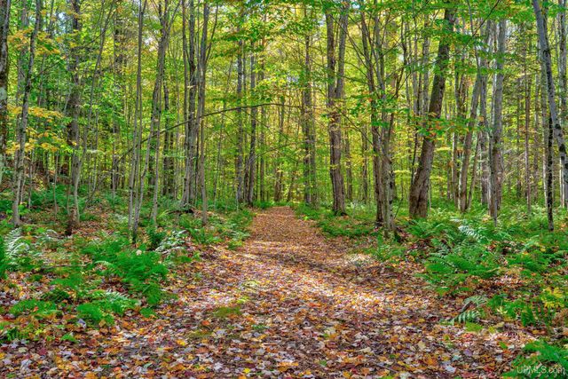 1130 N Old Plank Road, Wetmore, MI 49895