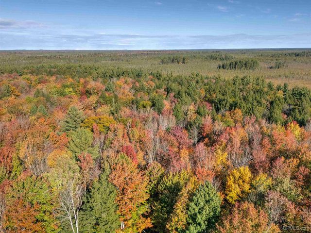 1130 N Old Plank Road, Wetmore, MI 49895