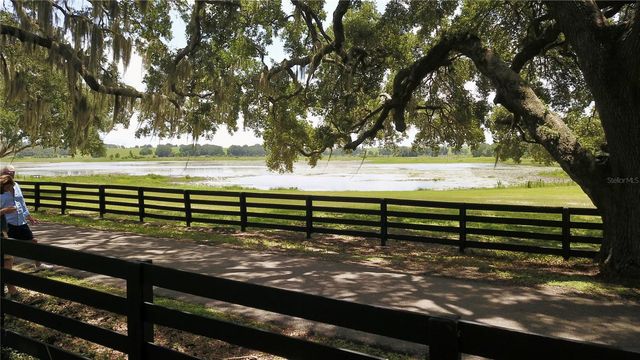16945 W PHIL C PETERS ROAD, Winter Garden, FL 34787
