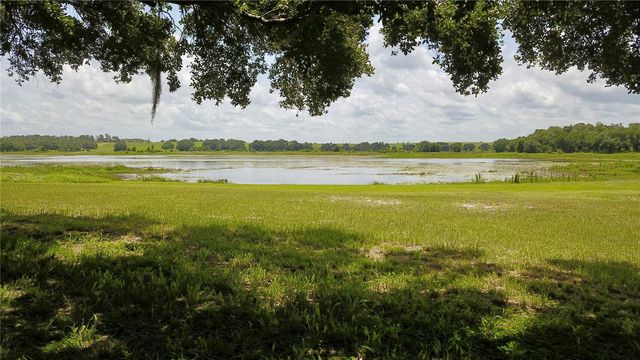 16945 W PHIL C PETERS ROAD, Winter Garden, FL 34787