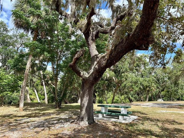 3456 ELM STREET, Zolfo Springs, FL 33890