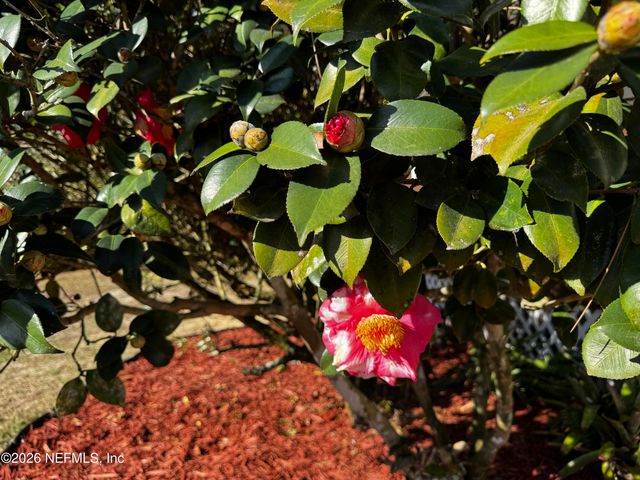 130 ADRIAN Avenue, Interlachen, FL 32148