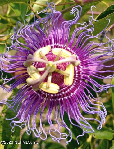 130 ADRIAN Avenue, Interlachen, FL 32148