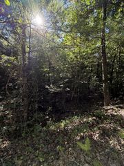 0 Explorer Ridge, Beaverdam, NC 28906
