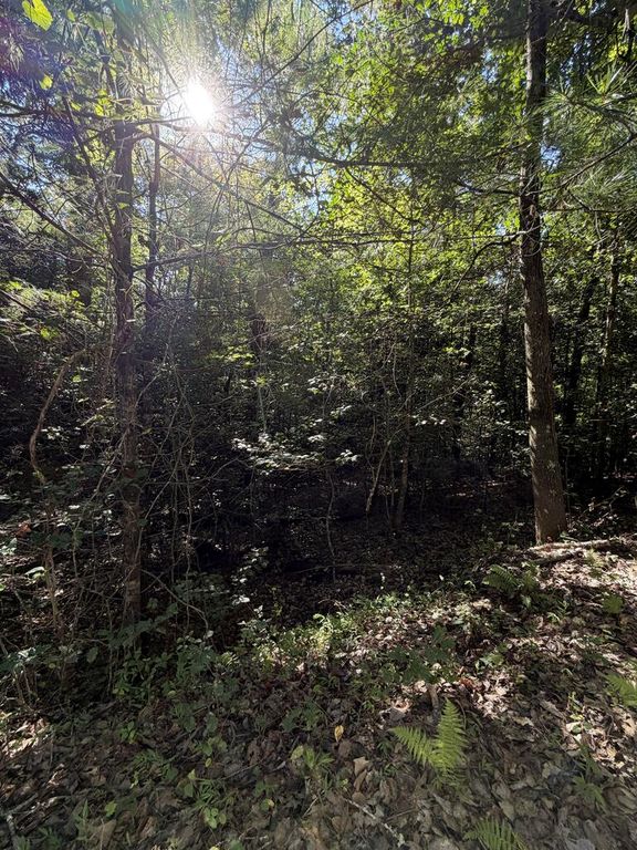 0 Explorer Ridge, Beaverdam, NC 28906