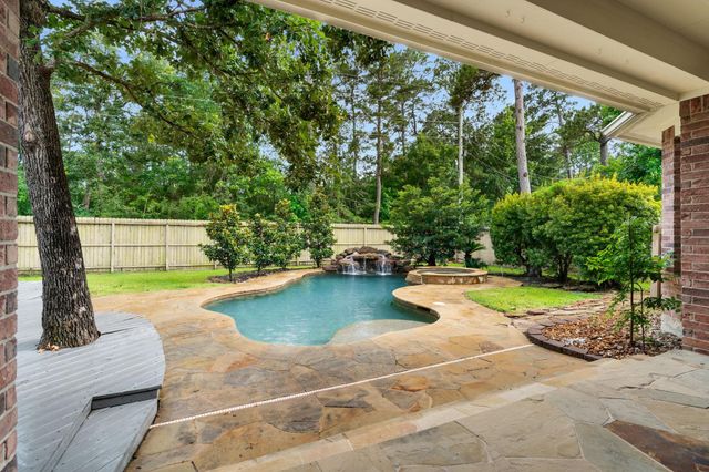 55 W Matisse Meadow Court, The Woodlands, TX 77382