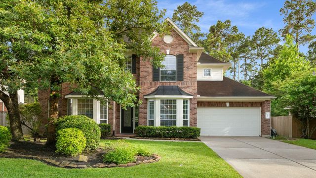55 W Matisse Meadow Court, The Woodlands, TX 77382