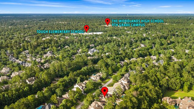 55 W Matisse Meadow Court, The Woodlands, TX 77382