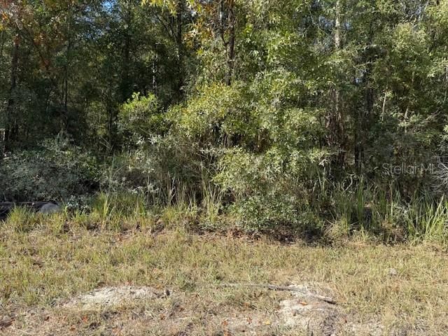 108TH AVENUE NE, Bronson, FL 32621