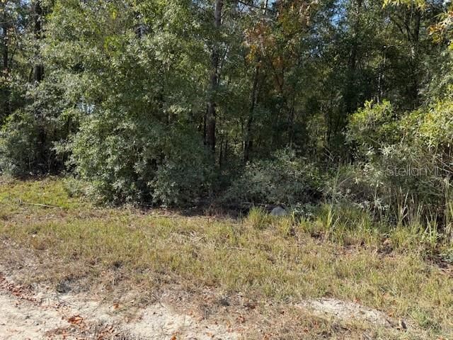 108TH AVENUE NE, Bronson, FL 32621