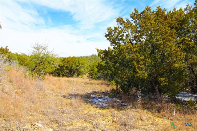 151 Nighthawk Lane, Canyon Lake, TX 78133