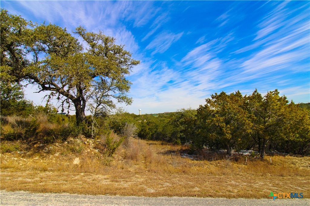 151 Nighthawk Lane, Canyon Lake, TX 78133