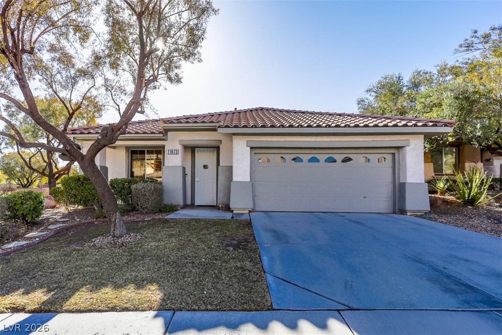 11073 Village Ridge Lane, Las Vegas, NV 89135