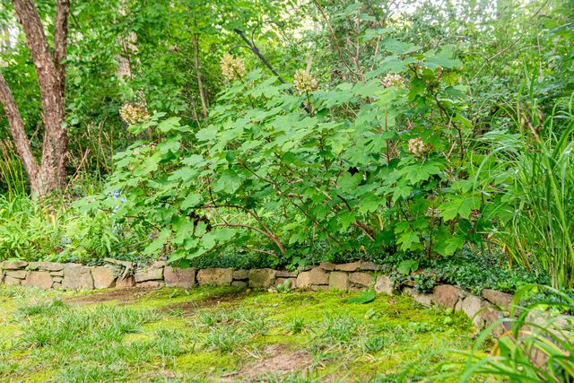 410 N Bragg Avenue, Lookout Mountain, TN 37350