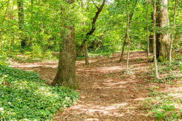 410 N Bragg Avenue, Lookout Mountain, TN 37350