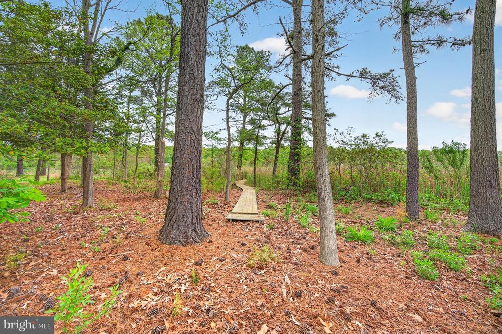 Image 60 of property listing at 1221 COVE DR, Churchton, MD 20733