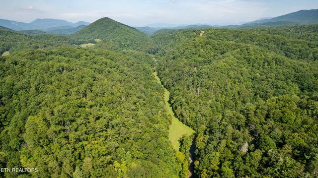 3656 Henry Town Rd, Sevierville, TN 37876