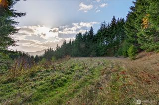 0 Knightsbridge Road, Amboy, WA 98603