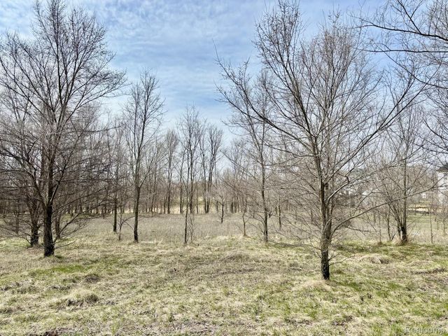 4448 Ford Avenue, Fenton Twp, MI 48451