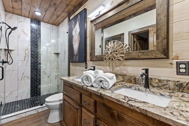 241 East Shalom Court, Blue Ridge, GA 30513