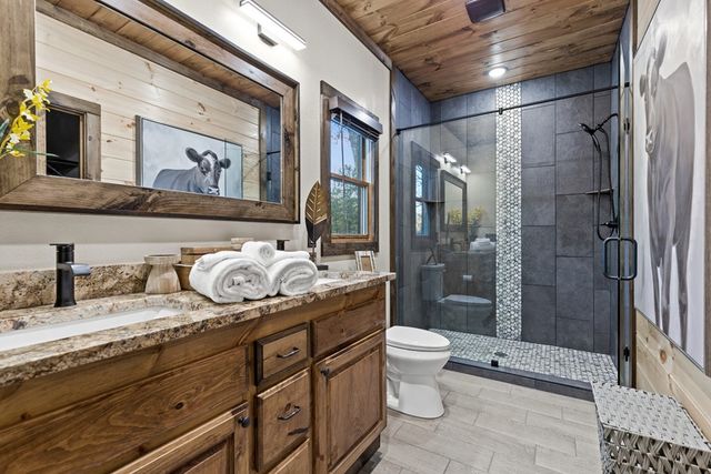 241 East Shalom Court, Blue Ridge, GA 30513