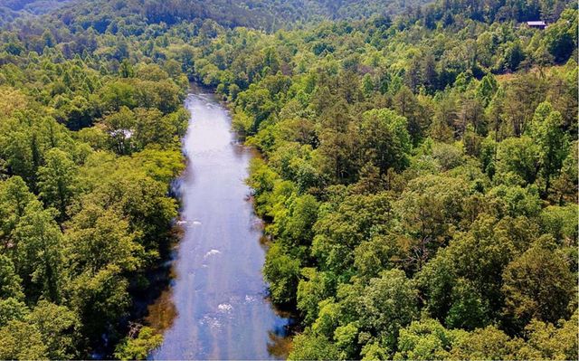 241 East Shalom Court, Blue Ridge, GA 30513