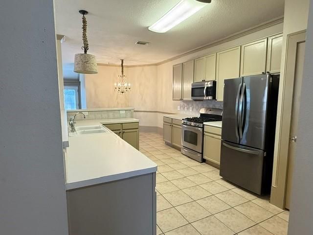 17439 Prospect Meadows Drive, Houston, TX 77095