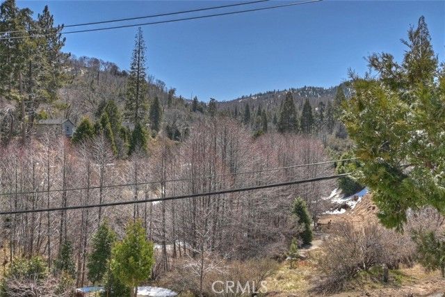 29632 Hook Creek Road, Cedar Glen, CA 92321