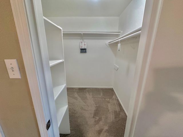 17502 Cassina Drive, Spring, TX 77388