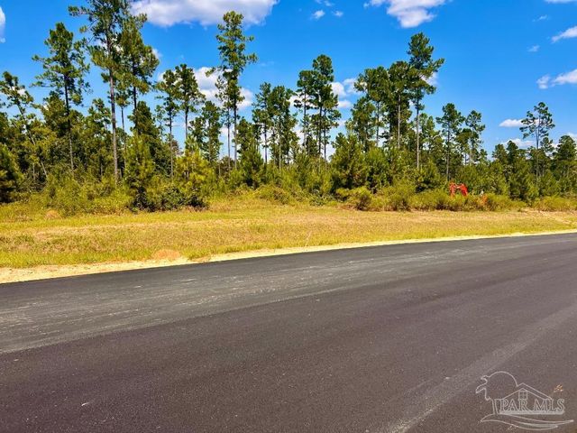 Lot 2 Morgans Branch, Molino, FL 32577