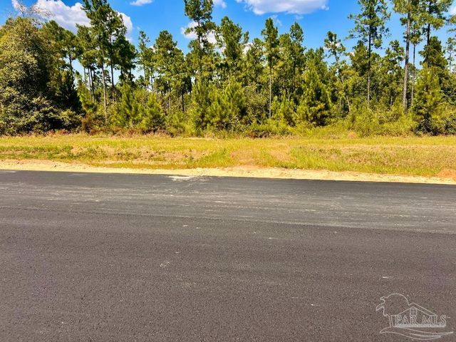 Lot 2 Morgans Branch, Molino, FL 32577