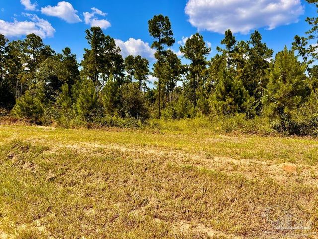 Lot 2 Morgans Branch, Molino, FL 32577