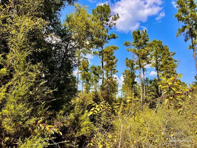 Lot 2 Morgans Branch, Molino, FL 32577