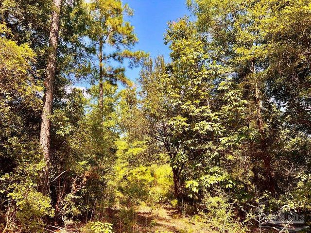 Lot 2 Morgans Branch, Molino, FL 32577
