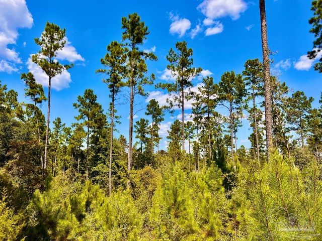 Lot 2 Morgans Branch, Molino, FL 32577