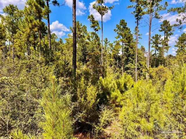 Lot 2 Morgans Branch, Molino, FL 32577