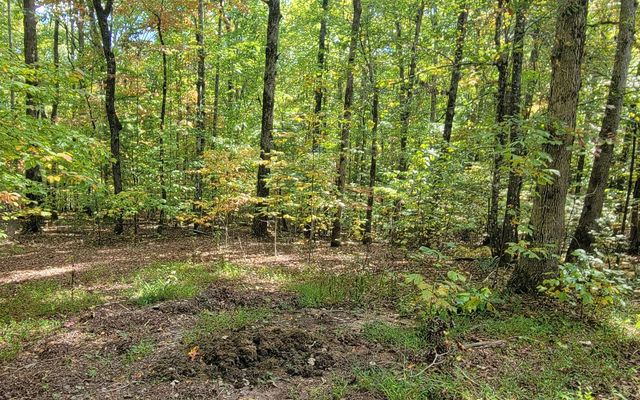 31-A&B Mountain View Lane, Hayesville, NC 28904