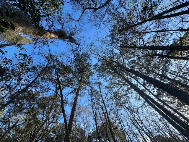 0 Cooke Road Lot 1, Johns Island, SC 29455