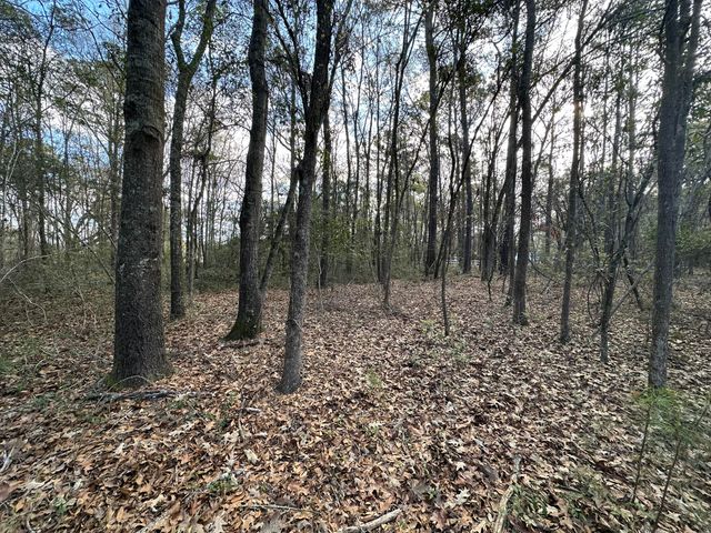 0 Cooke Road Lot 1, Johns Island, SC 29455