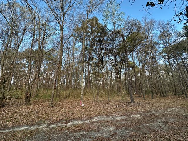 0 Cooke Road Lot 1, Johns Island, SC 29455