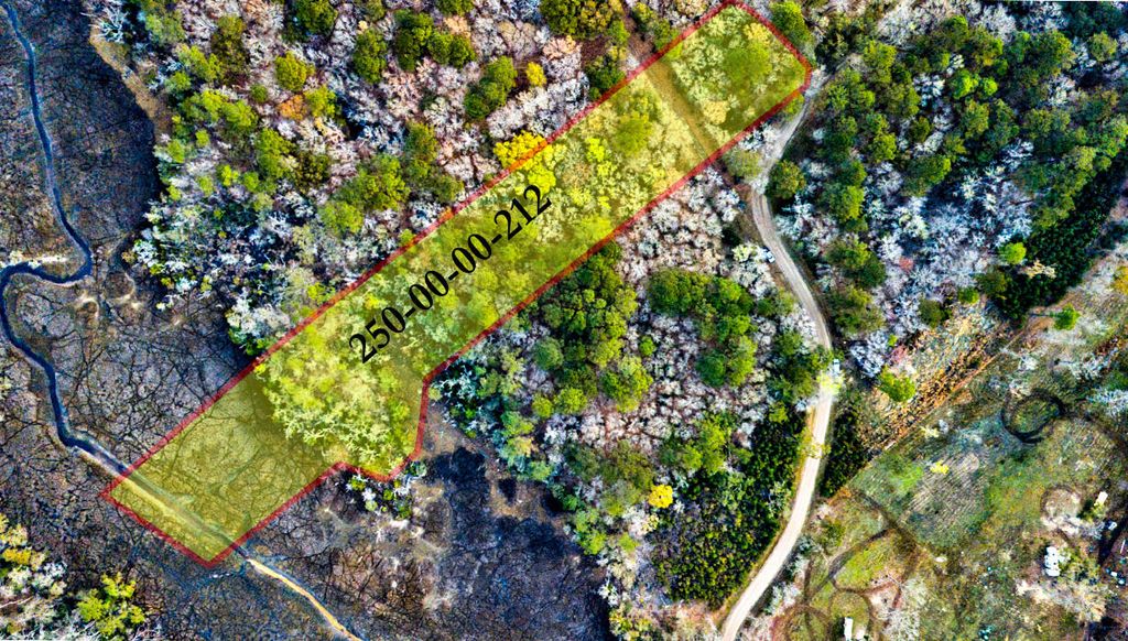 0 Cooke Road Lot 1, Johns Island, SC 29455
