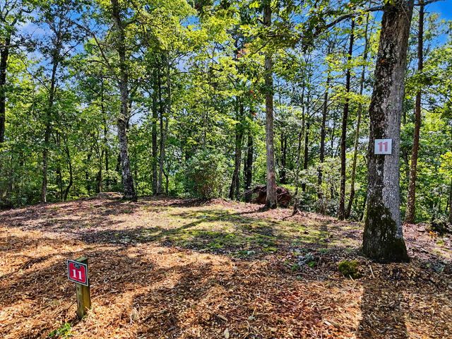 Lot 11 Brasstown Trails, Warne, NC 28909