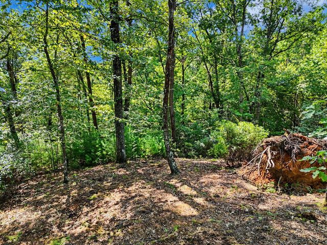 Lot 11 Brasstown Trails, Warne, NC 28909