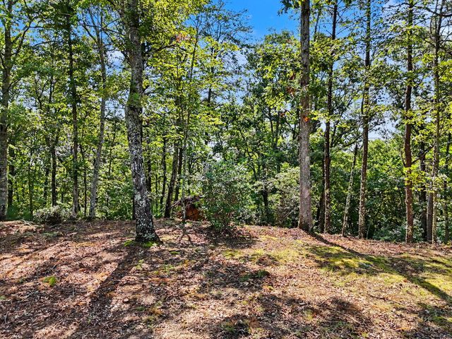 Lot 11 Brasstown Trails, Warne, NC 28909
