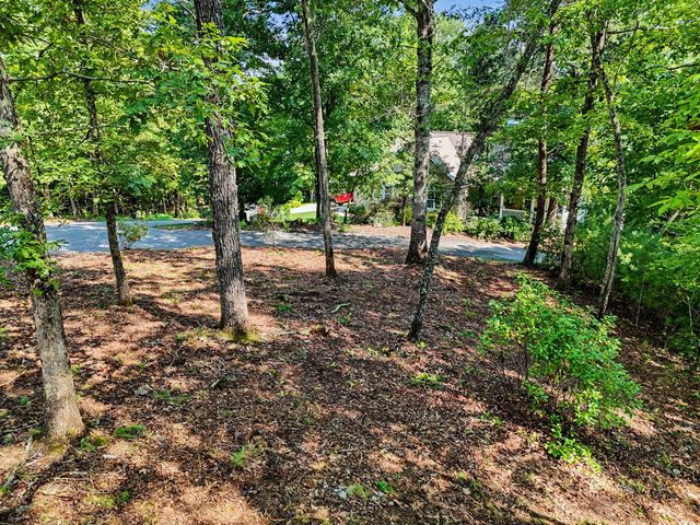 Lot 11 Brasstown Trails, Warne, NC 28909